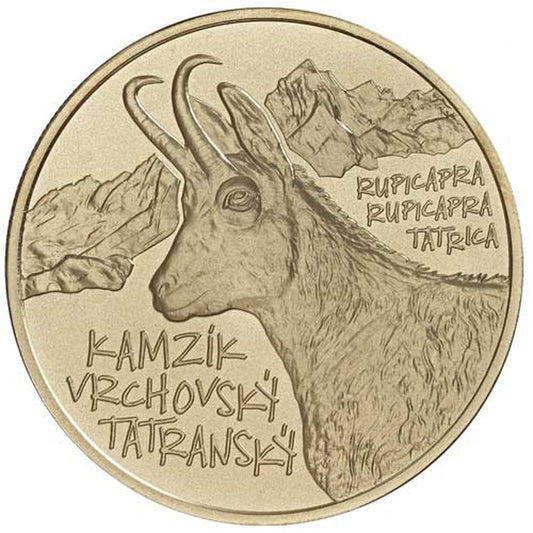 5 EURO Slovensko 2022 - Kamzík vrchovský tatranský