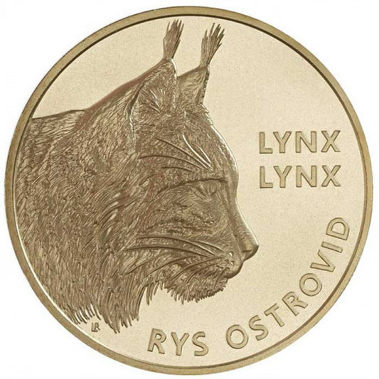 5 EURO Slovensko 2022 - Rys ostrovid