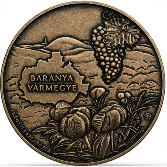 3000 Forint Maďarsko 2024 - Pécs