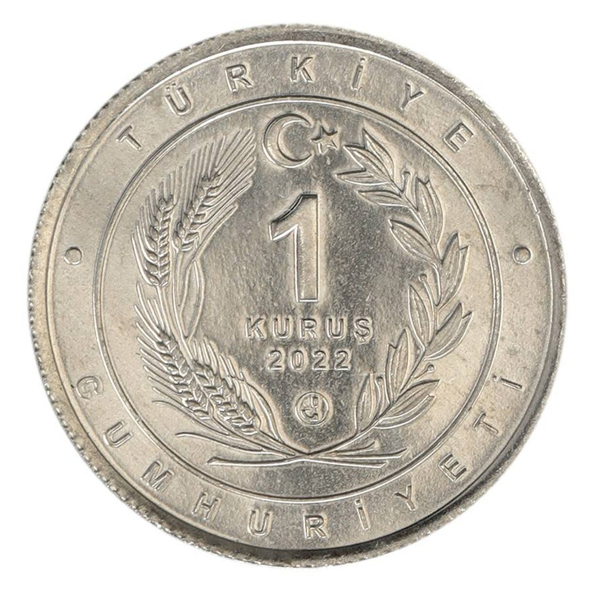 1 Kurus Turecko 2022 - Ázijský lev